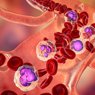 hematologist in vijayawada